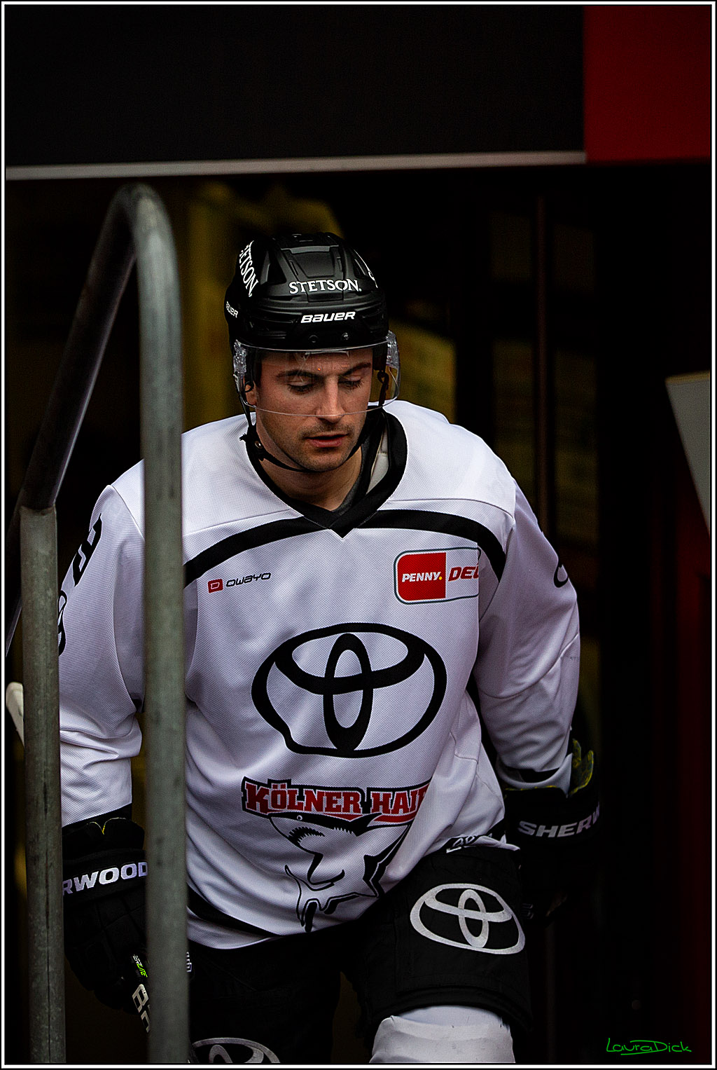 PENNY DEL; Koelner Haie Wintergame Training; Koeln, 02.12.2022
